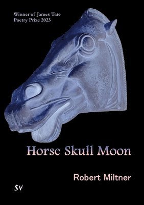 bokomslag Horse Skull Moon