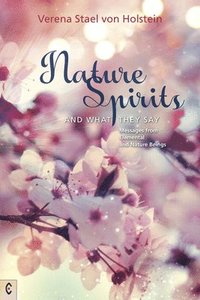bokomslag Nature Spirits and What They Say