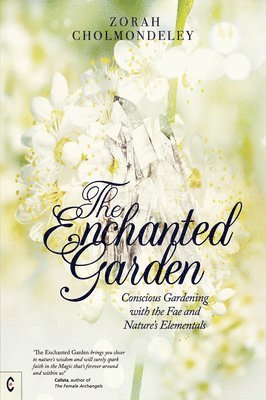 Zorah Cholmondeley - Enchanted Garden, Häftad