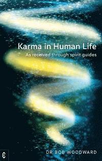bokomslag Karma in Human Life