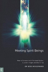 bokomslag Meeting Spirit Beings