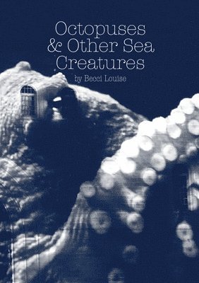 Octopuses and Other Sea Creatures 1