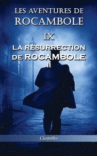 bokomslag Les aventures de Rocambole IX