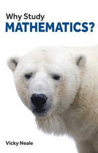bokomslag Why Study Mathematics?