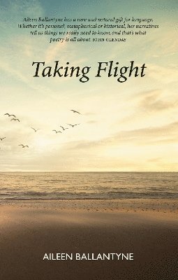 bokomslag Taking Flight