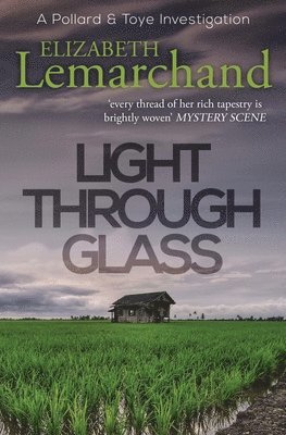 bokomslag Light Through Glass