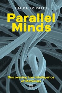 bokomslag Parallel Minds