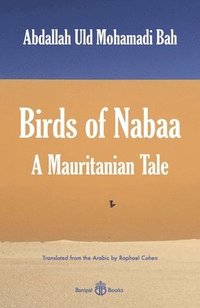 bokomslag Birds of Nabaa
