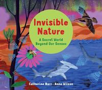 bokomslag Invisible Nature