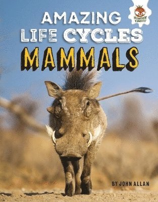 bokomslag Amazing Life Cycles- Mammals