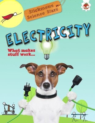 Emily Kington - Electricity: What Makes Stuff Work?, Inbunden