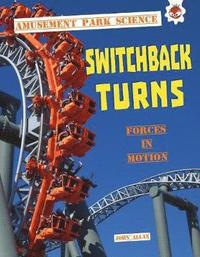 bokomslag Switchback Turns