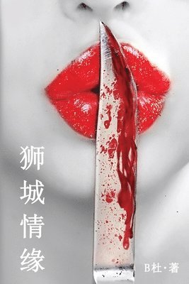 狮城情缘（简体字版）