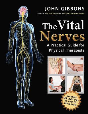 bokomslag Vital Nerves