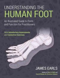 bokomslag Understanding the Human Foot