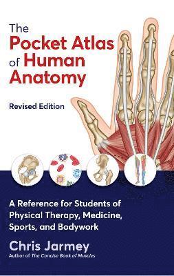The Pocket Atlas of Human Anatomy 1