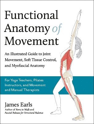 bokomslag Functional Anatomy of Movement