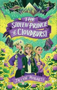 bokomslag The Stolen Prince Of Cloudburst