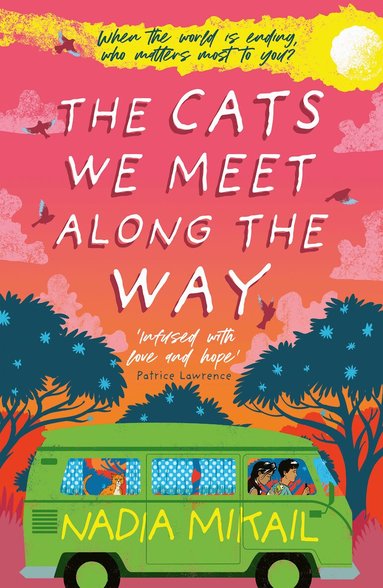 Nadia Mikail - Cats We Meet Along the Way, Häftad