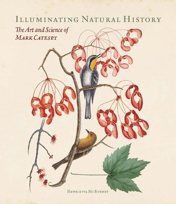 bokomslag Illuminating Natural History