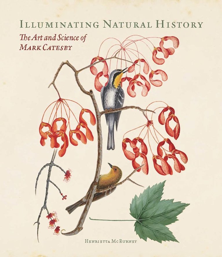 Illuminating Natural History 1