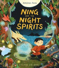 bokomslag Ning and the Night Spirits