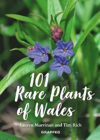 bokomslag 101 Rare Plants of Wales