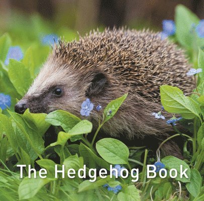 Nature Book Series, The: The Hedgehog Book 1