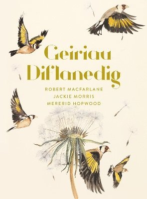 Mererid Hopwood - Geiriau Diflanedig, Inbunden