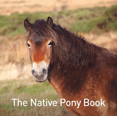 bokomslag The Native Pony Book