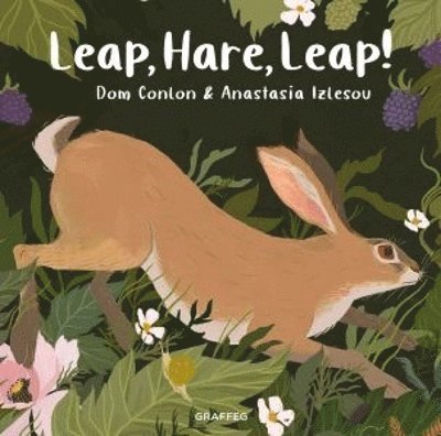 Dom Conlon - Leap, Hare, Leap!, Häftad