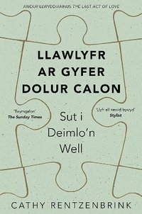 bokomslag Darllen yn Well: Llawlyfr ar Gyfer Dolur Calon