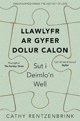 Cathy Rentzenbrink - Darllen yn Well: Llawlyfr ar Gyfer Dolur Calon, Häftad