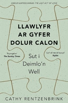 Darllen yn Well: Llawlyfr ar Gyfer Dolur Calon 1