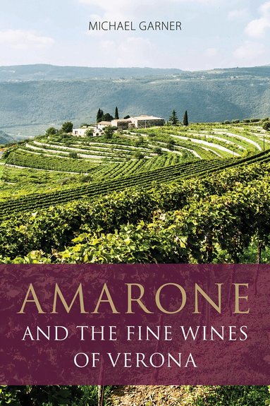 Michael Garner - Amarone and the Fine Wines of Verona, Häftad