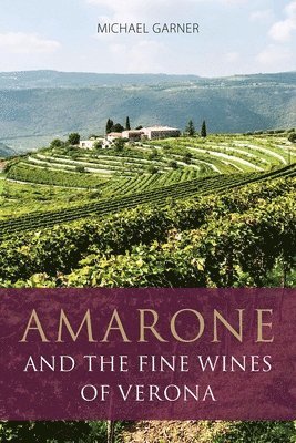 Amarone and the Fine Wines of Verona 1