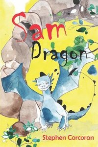 bokomslag Sam Dragon
