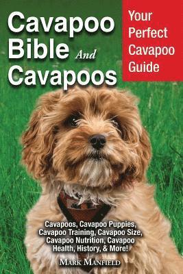 bokomslag Cavapoo Bible And Cavapoos