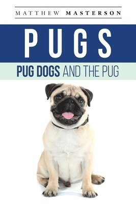 Pugs, Pug Dogs, And The Pug 1