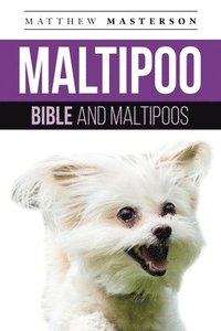 bokomslag Maltipoo Bible And Maltipoos