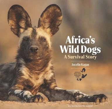 bokomslag Africa's Wild Dogs