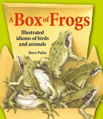 A Box of Frogs 1