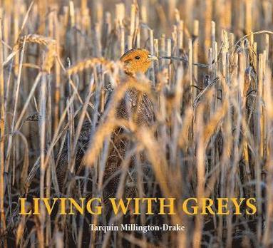 bokomslag Living with Greys