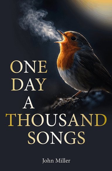 John Miller - One Day a Thousand Songs, Häftad
