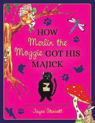 bokomslag How Merlin the Moggie got his Majick