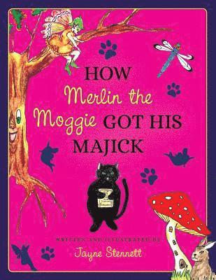 How Merlin the Moggie got his Majick
