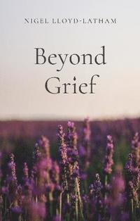 bokomslag Beyond Grief