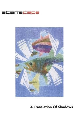 Translation Of Shadows