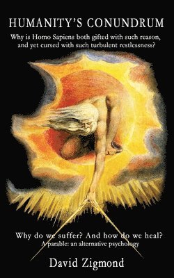 David Zigmond - Humanity's Conundrum, Häftad