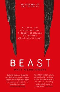 bokomslag Beast: Volume 4